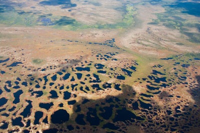 Aerial view of the James Bay peatlands