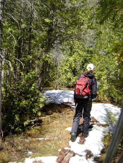 Researcher trekking in the spring