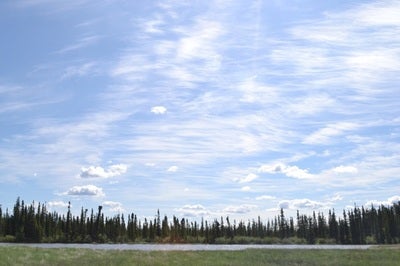  Panorama of a fen