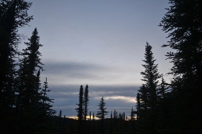 Sunset in the Boreal forest