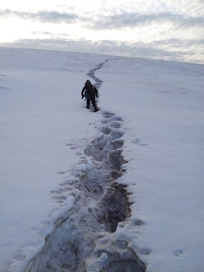 Researcher Scott ascending snow covered constructed fen slope