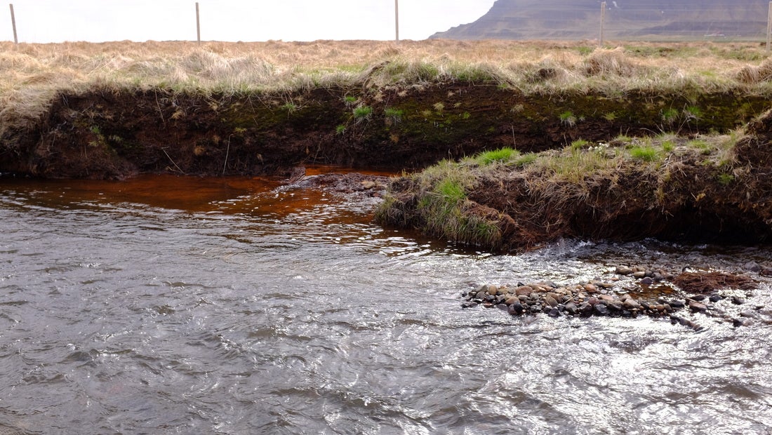  Close up peatland drainage ditch