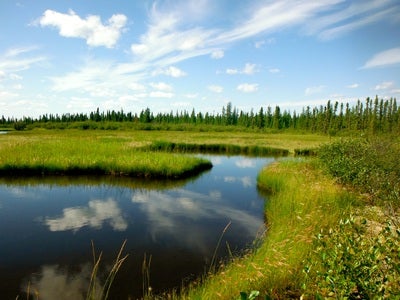  Pond and vegetation at Saline fen