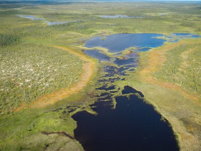 Aerial view of a wetland