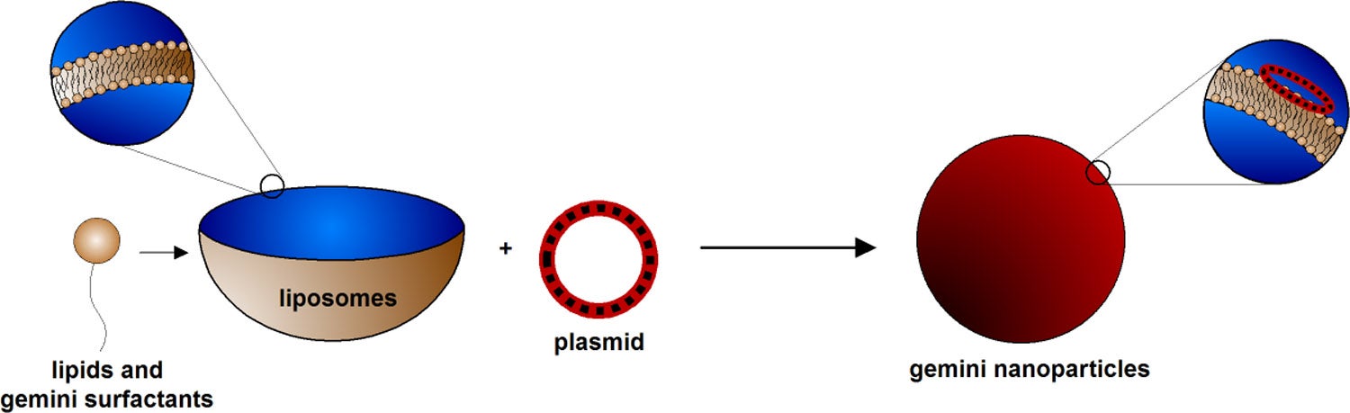 Gemini nanoparticle DNA delivery system