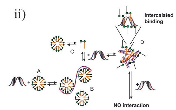 PY312 Mechanism