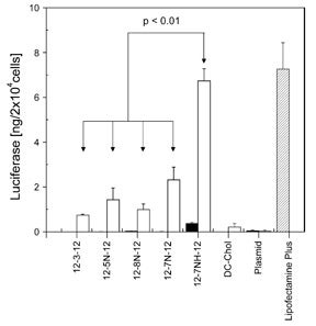 Transfetcion 12-7NH-12