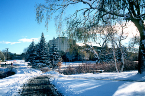 university campus in the winter