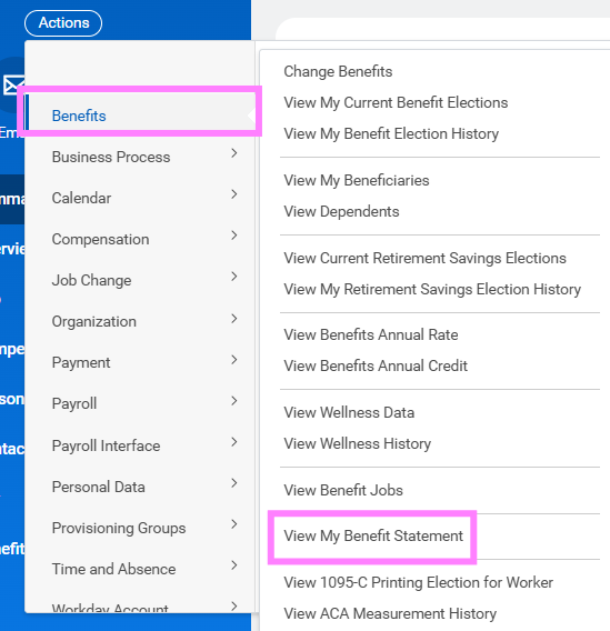 view my benefit statement