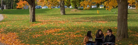 students studying and walking in Fall.