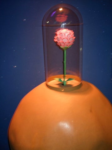 Rose inside of a glass case