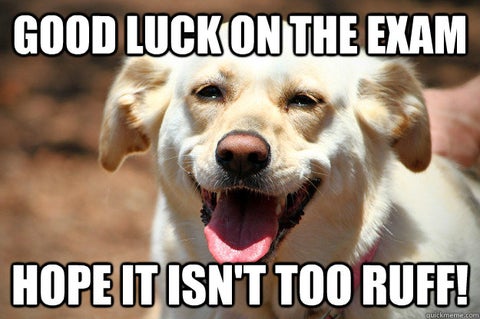 Image of a happy dog with the caption "Good luck on the exam, hope it isn't too ruff"