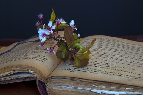 Old book open with flowers on it