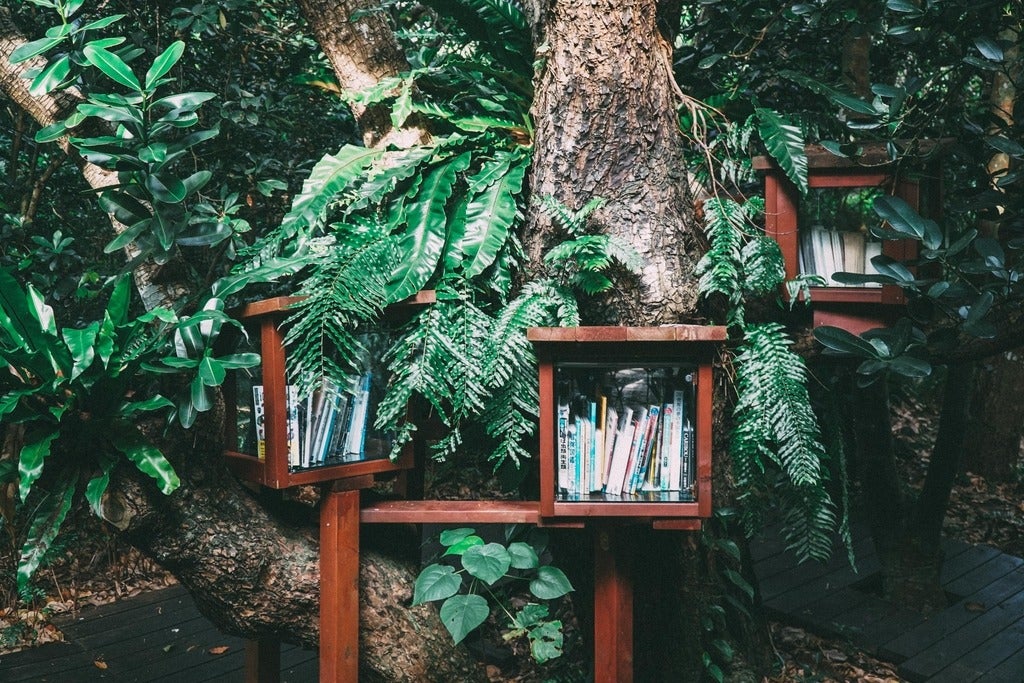 book shelf on a wall surrounded by plants 