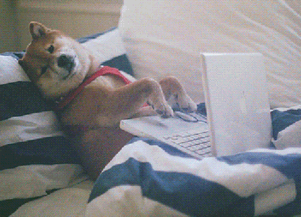 Gif of a shiba typing on a computer