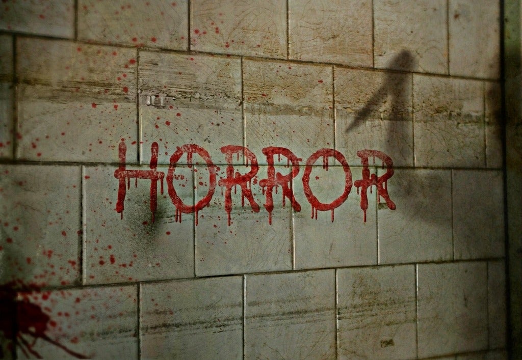 Picture of the word "HORROR" spelt in blood on a wall. On the wall there is also the shadow of someone holding a knife
