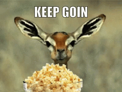 gif of an antelope eating popcorn saying go on
