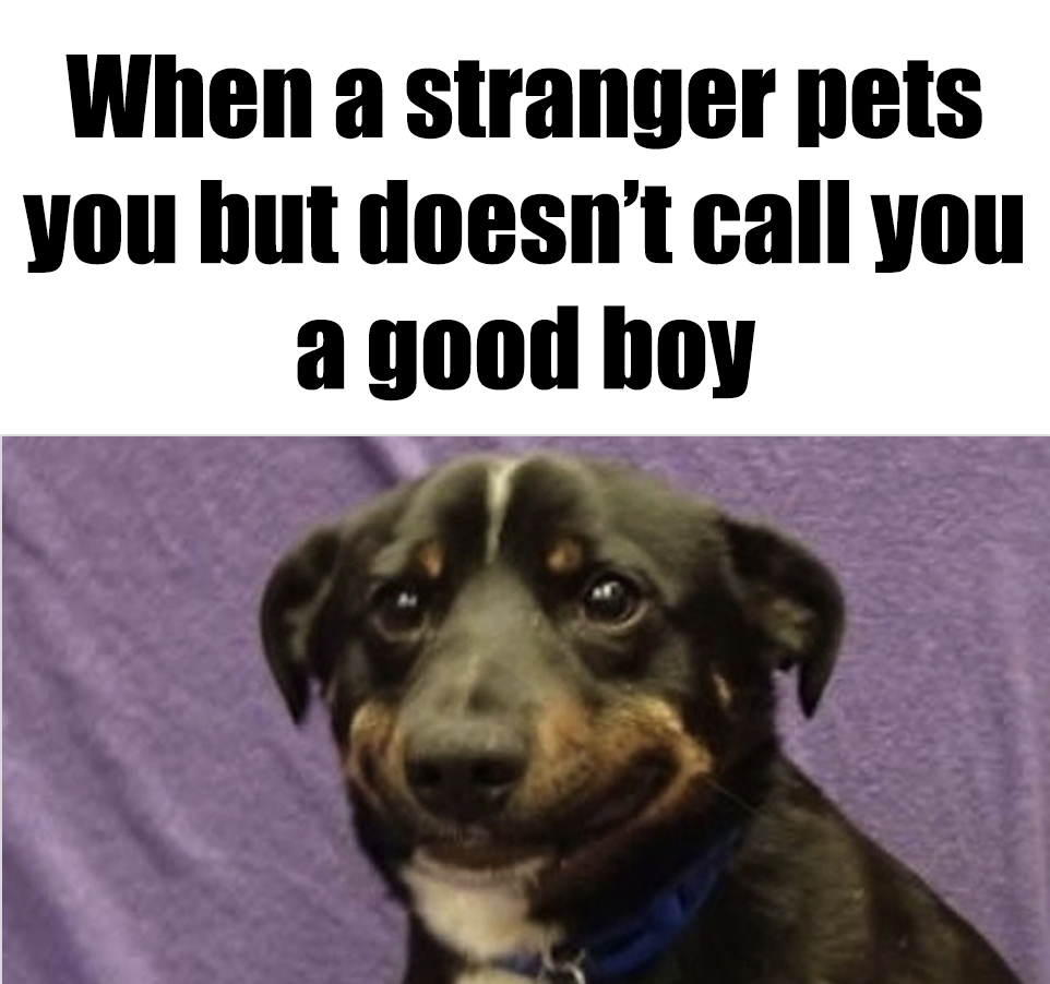 Nervous dog image with text: When a stranger pets you but doesn't call you a good boy.