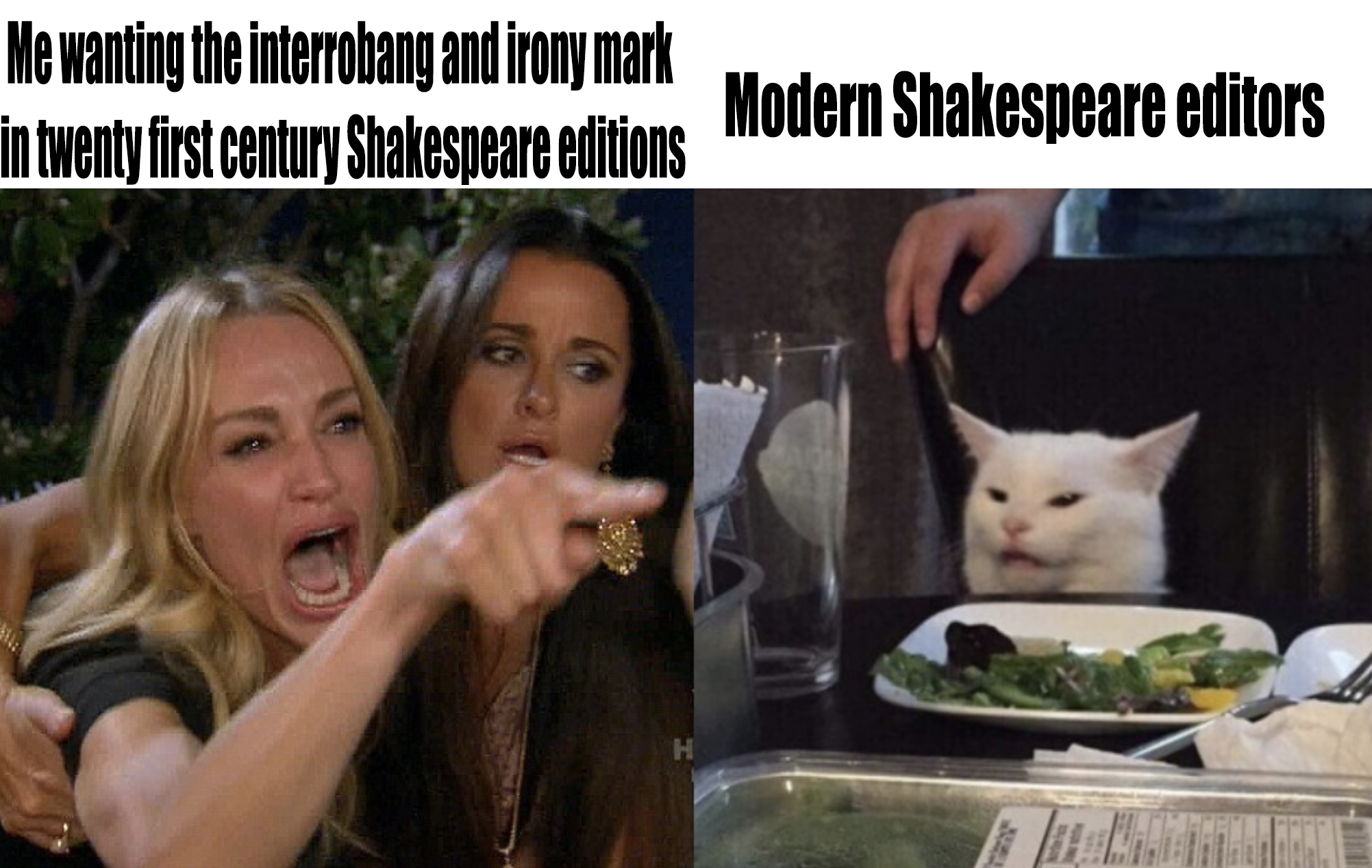 Woman yelling at cat meme stating: Me wanting the interrobang and irony mark in twenty first century Shakespeare editions. Modern Shakespeare editors