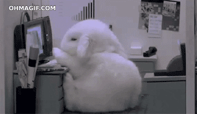 GIF of a bunny falling asleep at the computer and falling out of its chair.