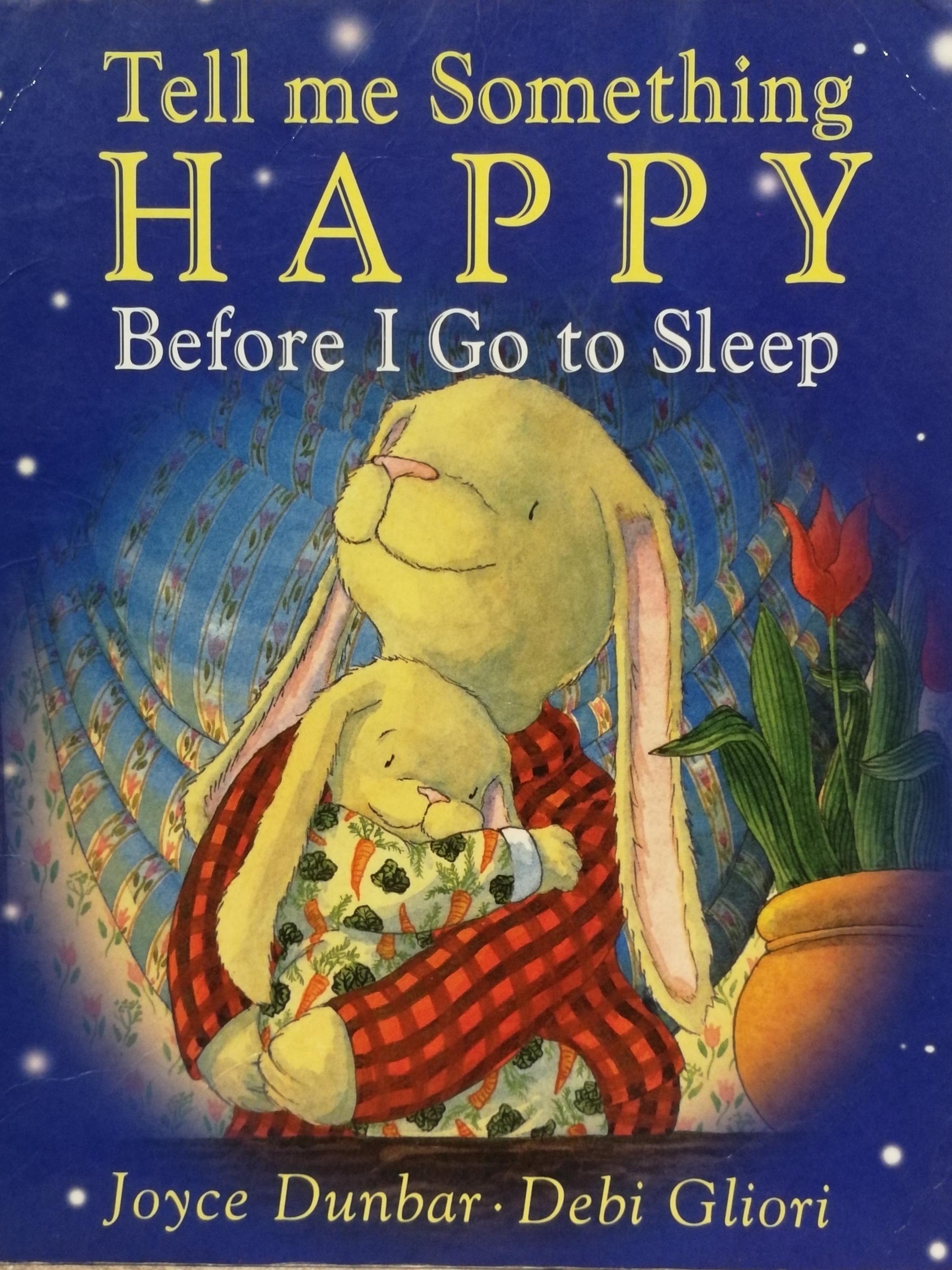 Tell Me Something Happy Before I Go To Sleep book cover