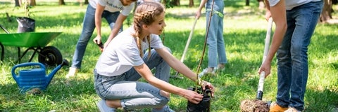 A female volunteer planting a tree