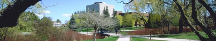 Distant view of Dana Porter Library.